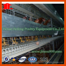 Jinfeng Poultry Cage Design